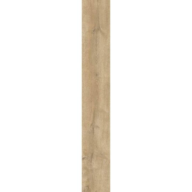 Montilla Planks - Bowie